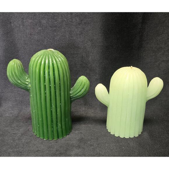 Garden Party Saguaro Cactus Candle  - 24 oz & 16 oz - Picture 4 of 9